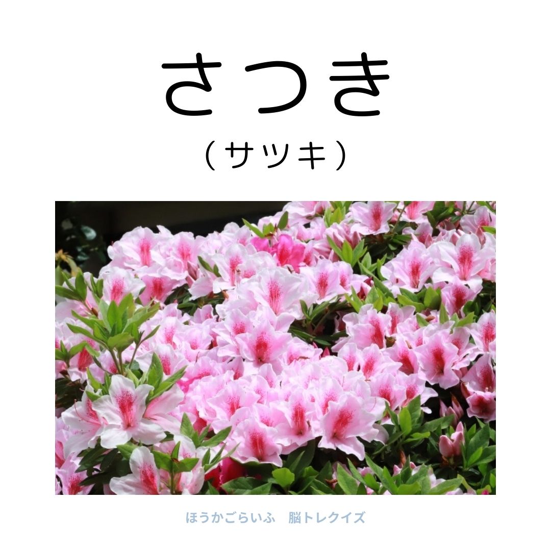 高齢者向け（無料）言葉の並び替えで脳トレしよう！文字（ひらがな）を並び替える簡単なゲーム【花の名前】健康寿命を延ばす鍵